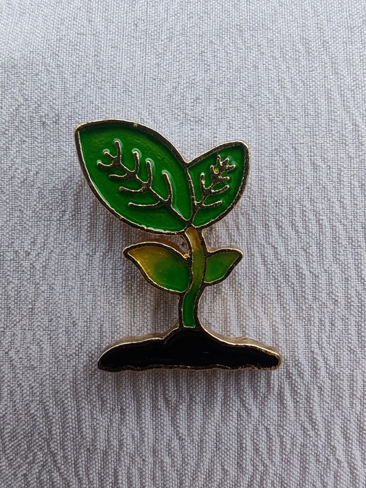 Semilla plantada